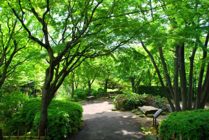 公園　池田山公園（公園）まで658m