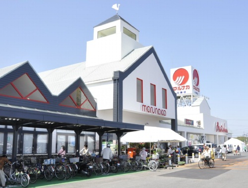 スーパー　マルナカ 白鳥店（スーパー）まで832m