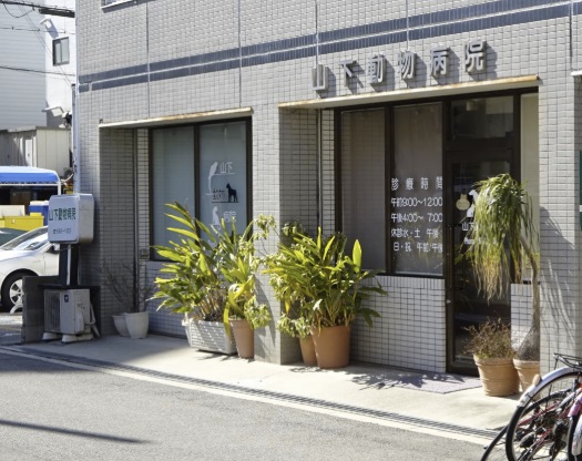 病院　山下動物病院（病院）まで1046m