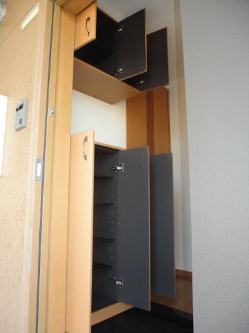 その他　シューズボックス内部