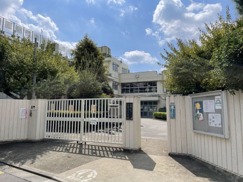 小学校　中野区立上鷺宮小学校（小学校）まで313m