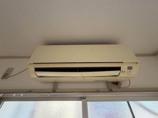 リトルサンシャインのその他写真