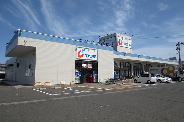ドラックストア　カワチ薬品富沢店（ドラッグストア）まで249m
