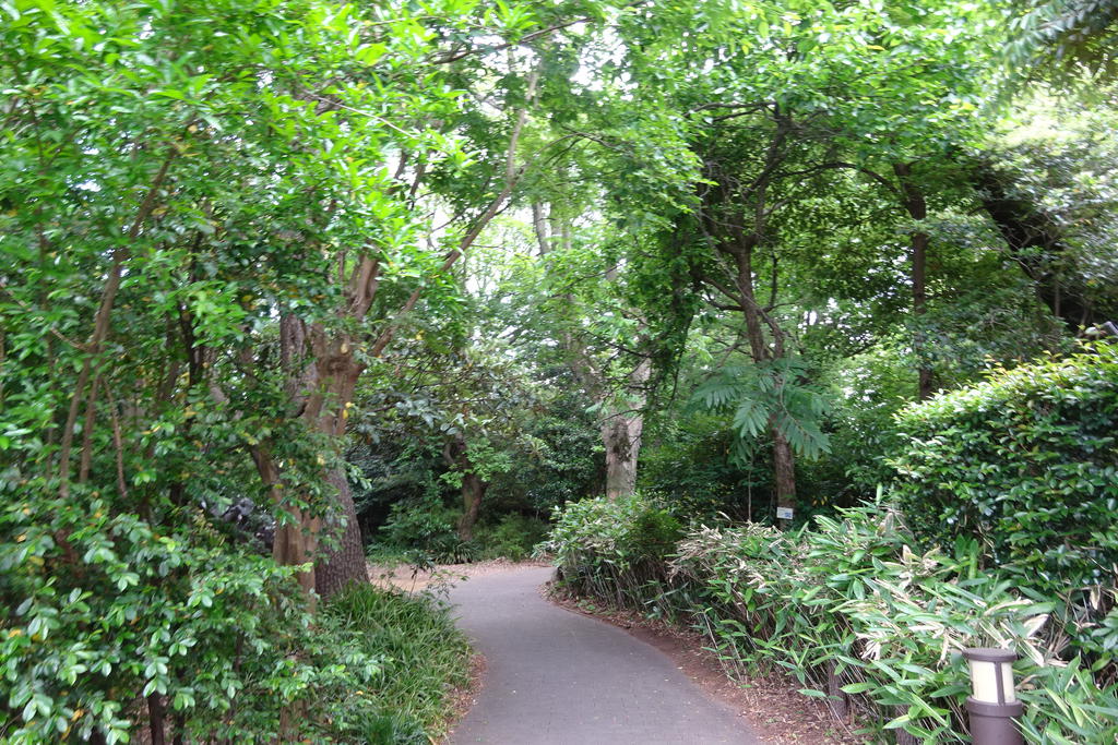 【豊島区目白のアパートの公園】