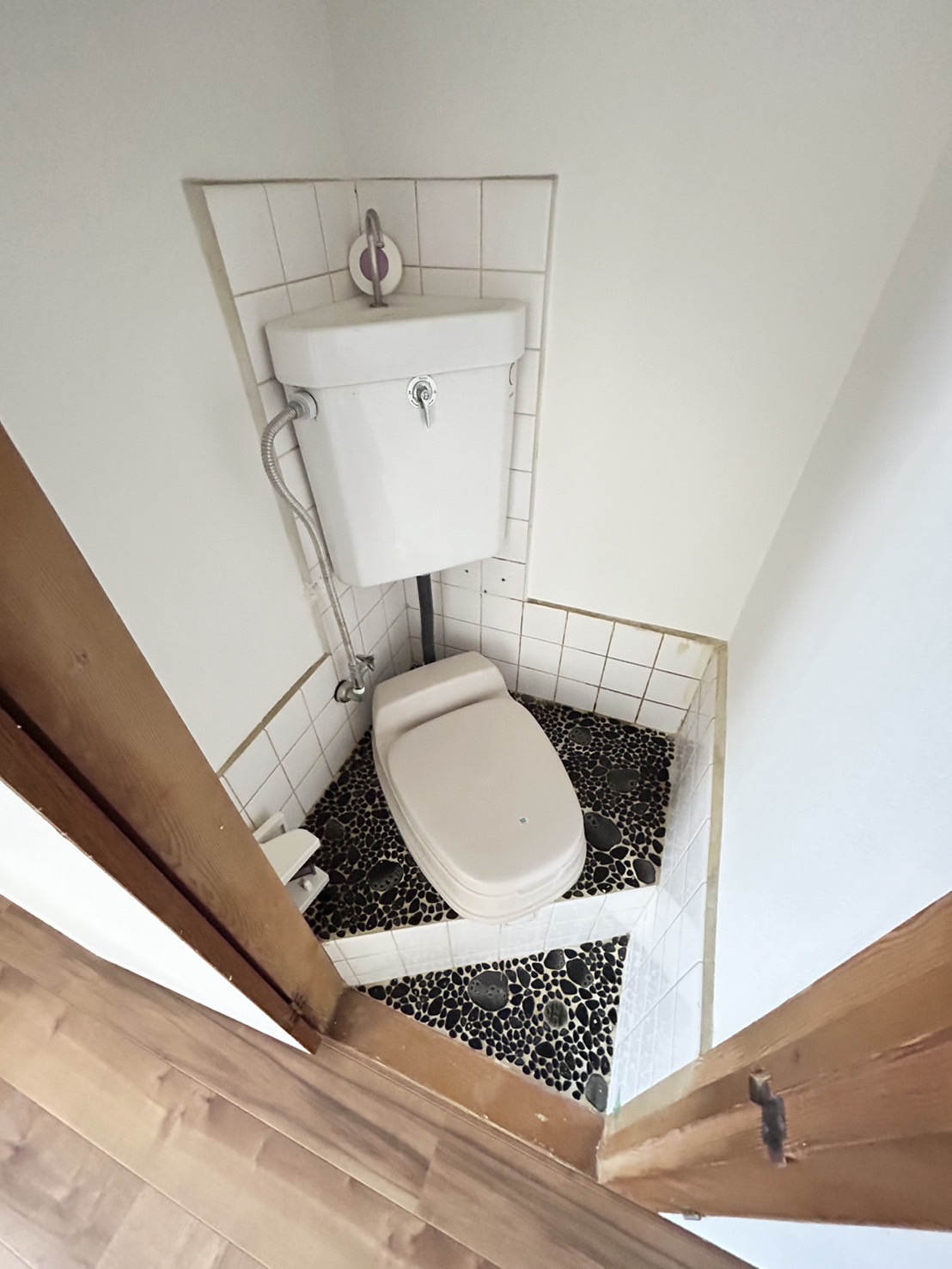 井上ハイツのトイレ写真