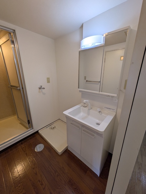 洗面設備　シャワー付き洗面台