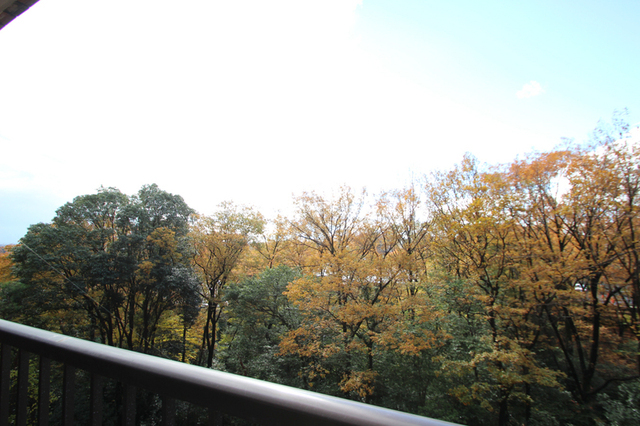 眺望　※他部屋の画像です