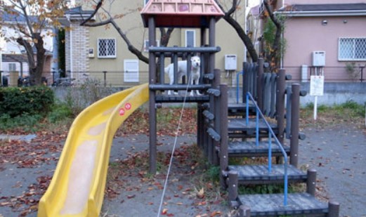 公園　本牧緑ケ丘公園（公園）まで619m