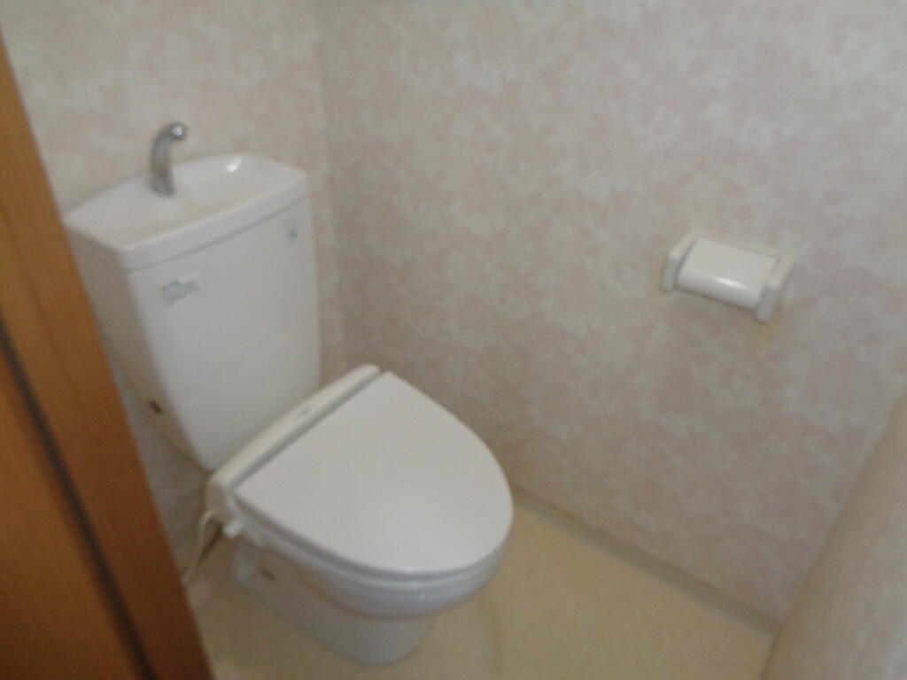 エクセレント中桜田のトイレ写真