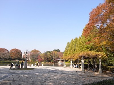 公園　中央公園（公園）まで475m