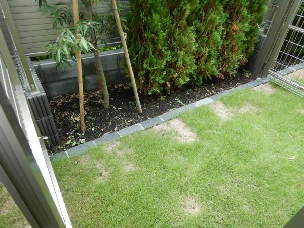 庭　別室参考写真