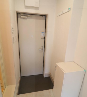 玄関　※同シリーズ施工　別物件