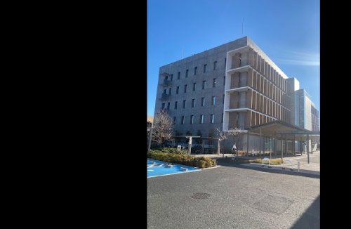 役所　新座市役所（役所）まで599m