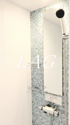 バス・シャワールーム　シャワールームになります。