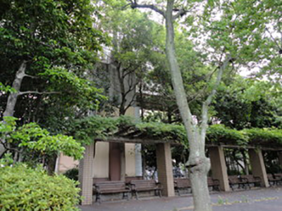 公園　新川緑地（公園）まで773m