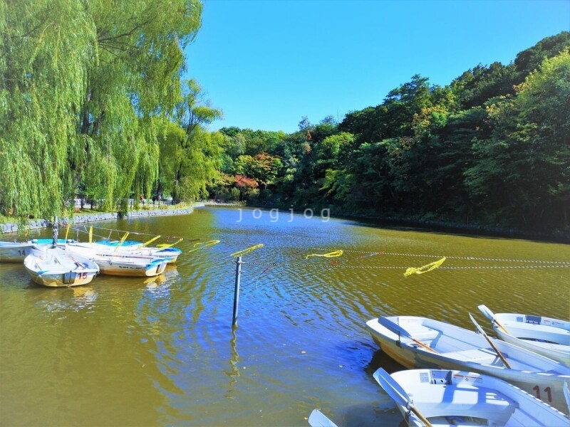 公園　月寒公園（公園）まで270m