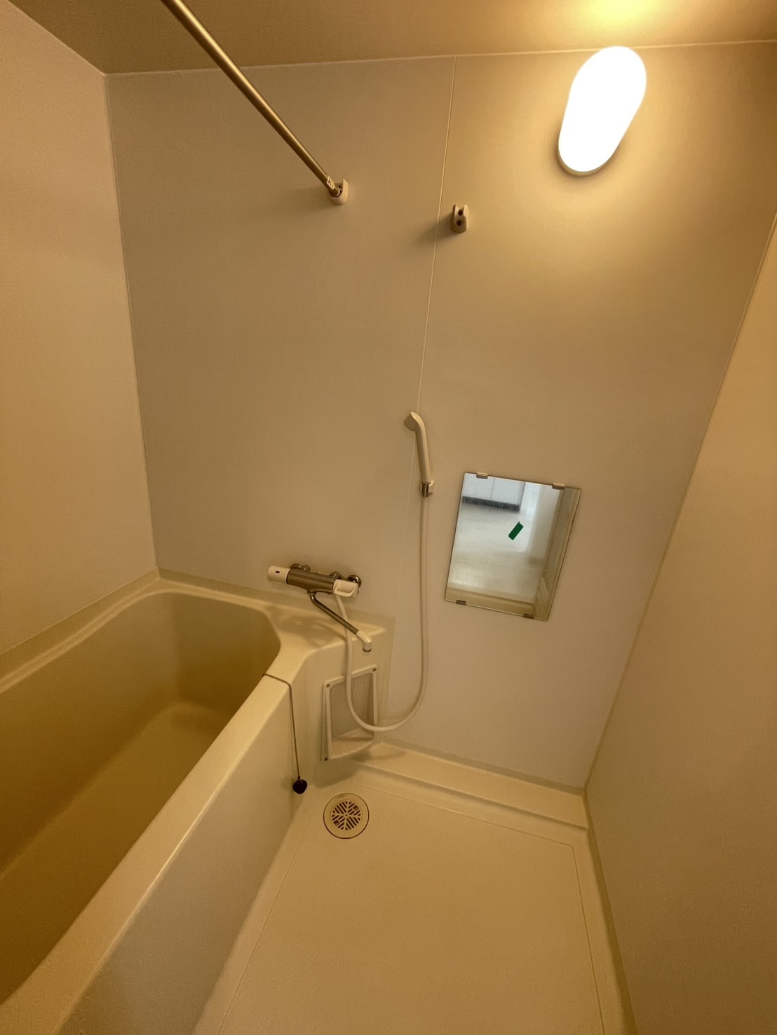 バス・シャワールーム　※他号室のお写真です。