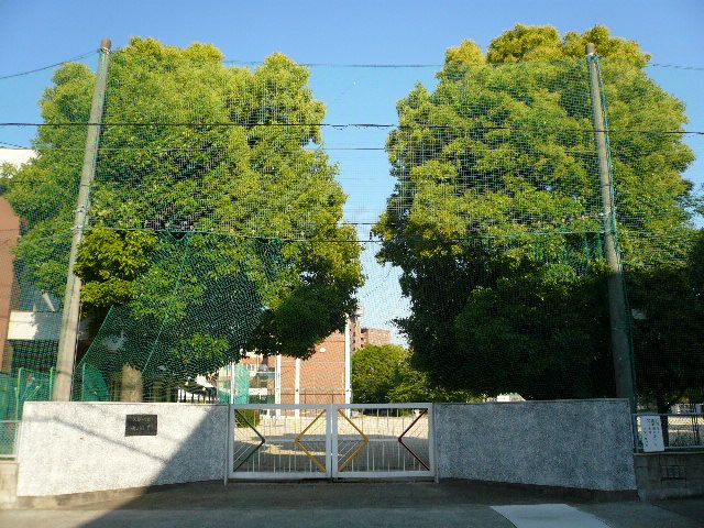 小学校　市立大宝小学校（小学校）まで600m