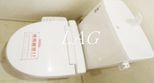 トイレ　トイレです。