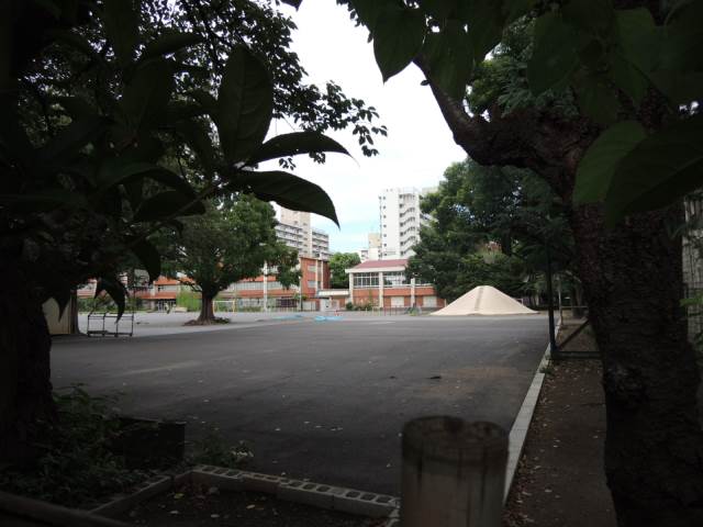 小学校　高島第２小学校（小学校）まで320m