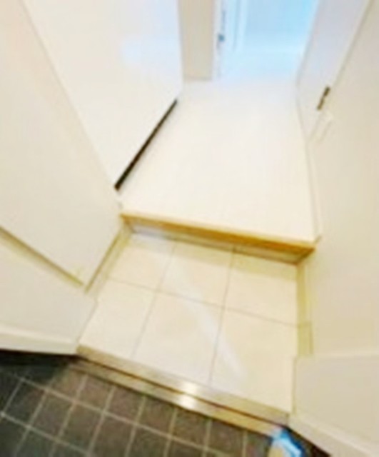 玄関　同仕様参考