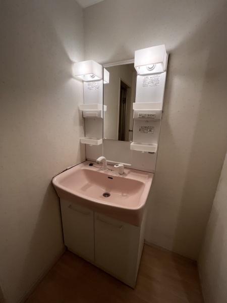 洗面設備　便利なシャンプードレッサー付き