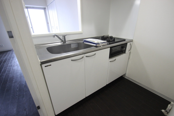 キッチン　※別号室の写真です