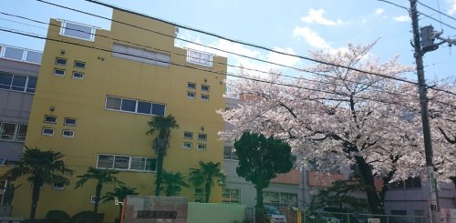 小学校　千葉市立新宿小学校（小学校）まで380m