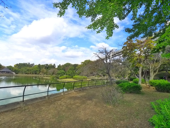 公園　千葉公園（公園）まで700m