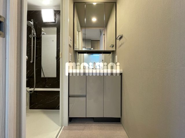 洗面設備　別号室の参考写真