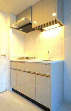 キッチン　ルフォンプログレ西大井プレミア ※反転