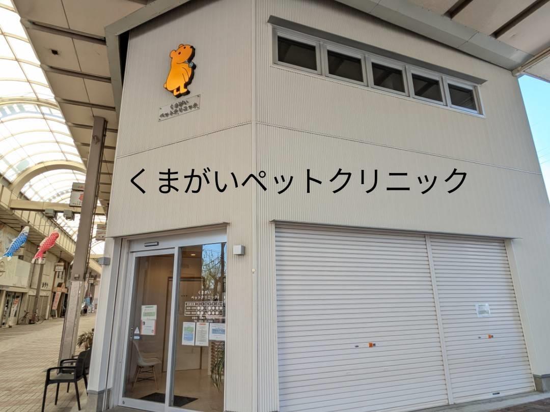 病院　動物病院　くまがいペットクリニック（病院）まで150m
