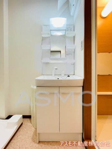 洗面設備　同マンション別部屋参考写真