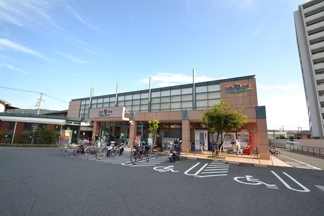 スーパー　ユアーズ府中店（スーパー）まで383m