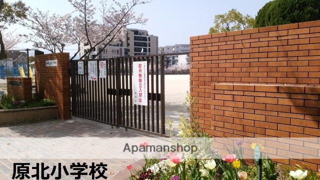 小学校　福岡市立小学校原北小学校（小学校）まで563m