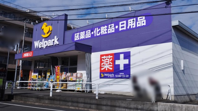 ドラックストア　ウェルパーク東武練馬店（ドラッグストア）まで348m