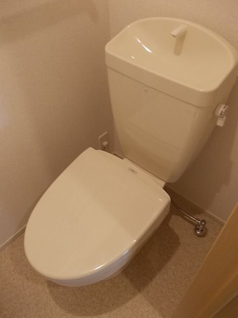 トイレ　トイレも気になるポイント