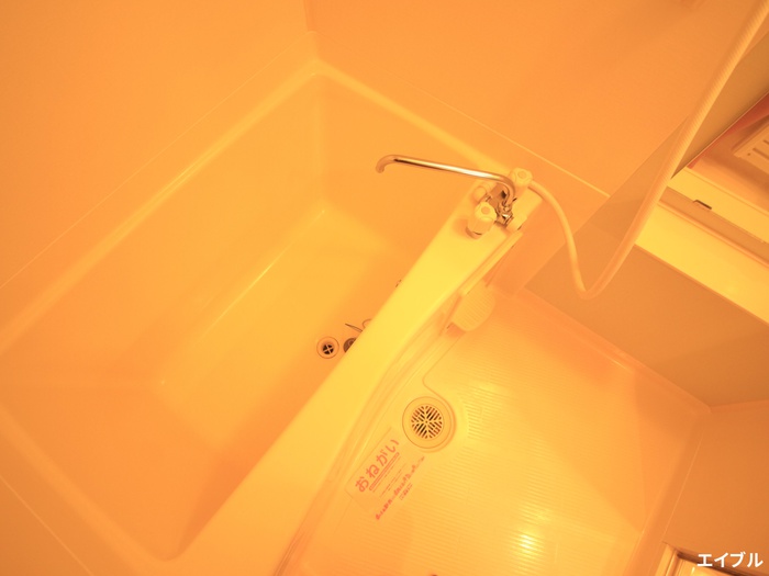 バス・シャワールーム　反転タイプの別のお部屋になります