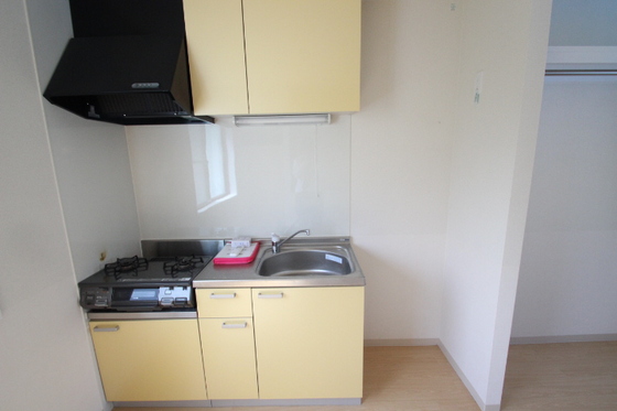 キッチン　※別号室の写真です