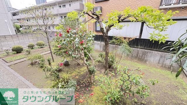 庭