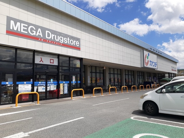 ドラックストア　カワチ薬品小瀬店（ドラッグストア）まで1200m
