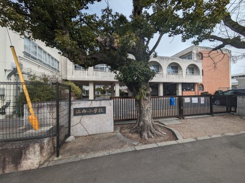小学校　岡山市立江西小学校（小学校）まで642m