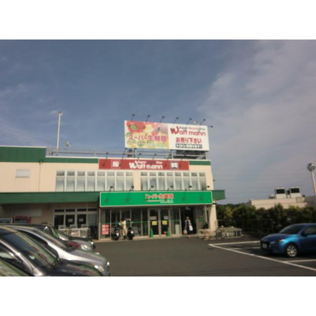 ショッピングセンター　スーパー生鮮館ＴＡＩＧＡ藤沢石川店（ショッピングセンター）まで1100m
