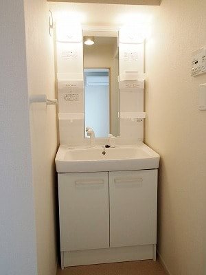 洗面設備　シャワー付きの独立洗面台です。