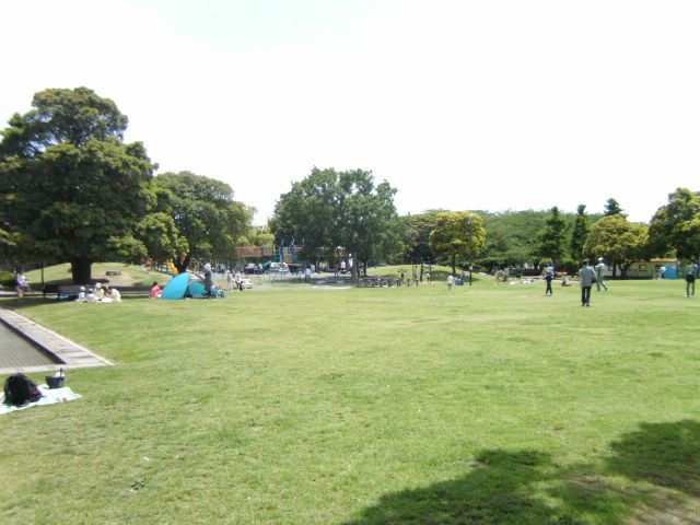 公園　大師公園（公園）まで1000m