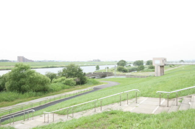 その他　江戸川河川敷まで100m