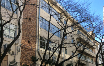 小学校　港区立南山小学校（小学校）まで554m