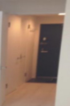 玄関　同一仕様写真