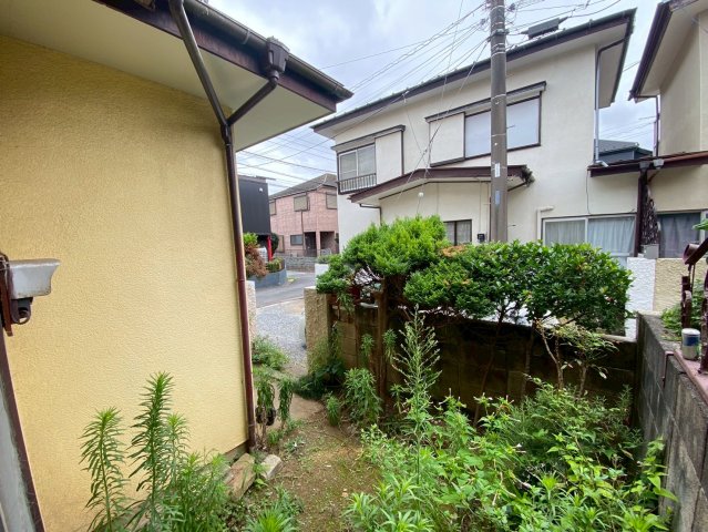 庭