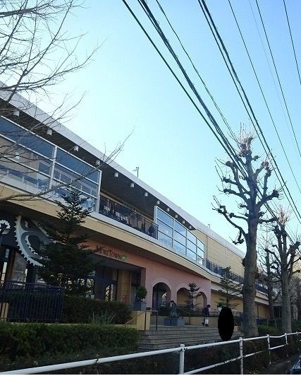 ショッピングセンター　モリタウン（ショッピングセンター）まで1100m